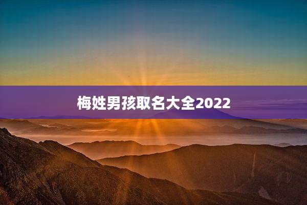 梅姓男孩取名大全2022