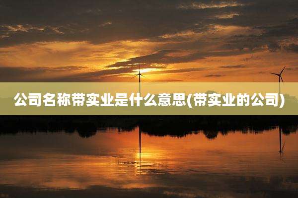 公司名称带实业是什么意思(带实业的公司)