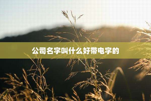 公司名字叫什么好带电字的