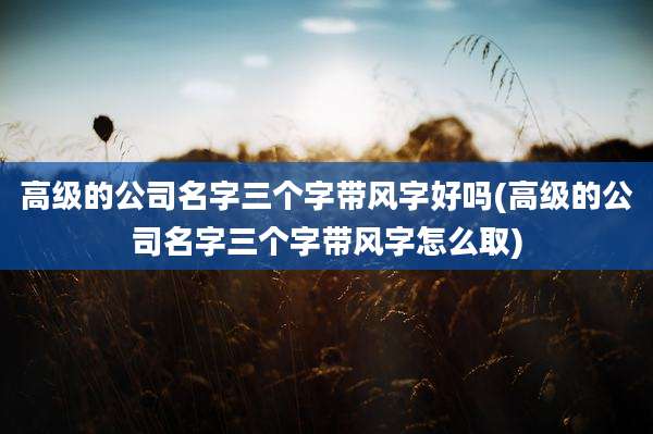 高级的公司名字三个字带风字好吗(高级的公司名字三个字带风字怎么取)