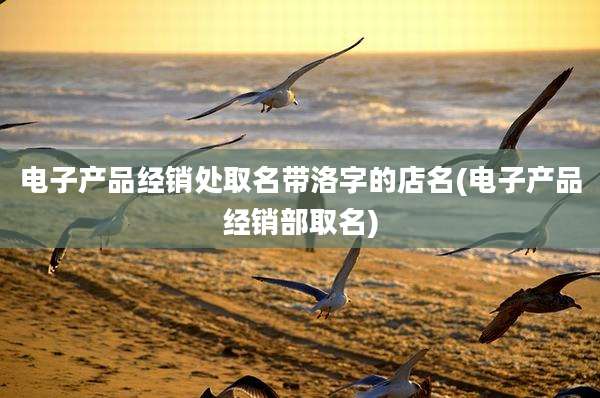 电子产品经销处取名带洛字的店名(电子产品经销部取名)
