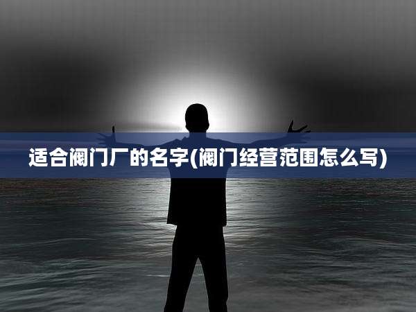 适合阀门厂的名字(阀门经营范围怎么写)