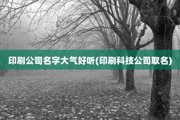 印刷公司名字大气好听(印刷科技公司取名)