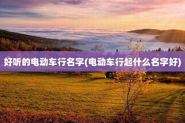 好听的电动车行名字(电动车行起什么名字好)