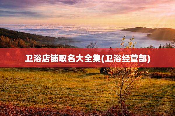 卫浴店铺取名大全集(卫浴经营部)