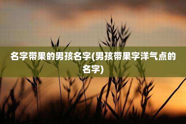 名字带果的男孩名字(男孩带果字洋气点的名字)