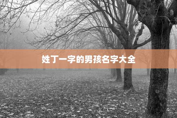 姓丁一字的男孩名字大全