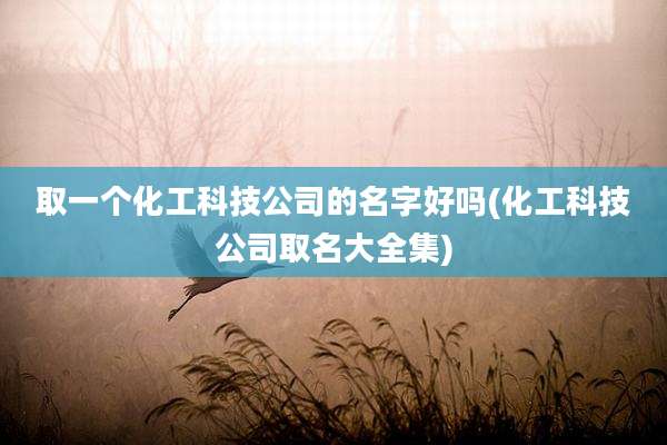 取一个化工科技公司的名字好吗(化工科技公司取名大全集)