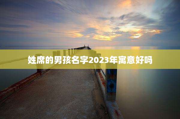 姓席的男孩名字2023年寓意好吗