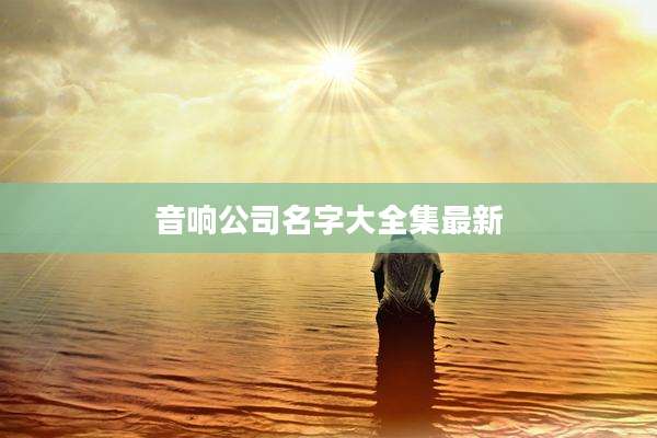 音响公司名字大全集最新