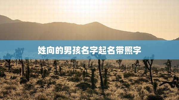 姓向的男孩名字起名带照字