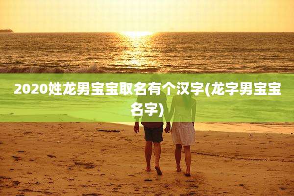 2020姓龙男宝宝取名有个汉字(龙字男宝宝名字)