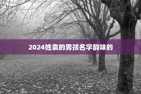 2024姓袁的男孩名字韵味的