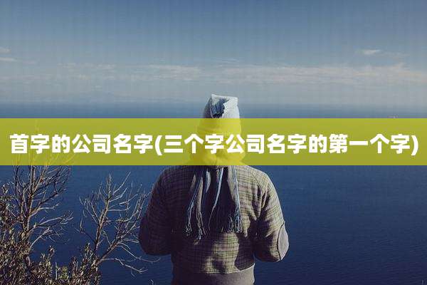 首字的公司名字(三个字公司名字的第一个字)