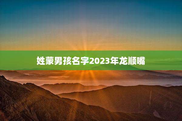 姓蒙男孩名字2023年龙顺嘴