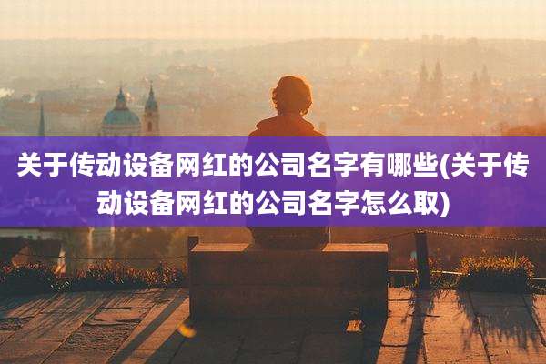 关于传动设备网红的公司名字有哪些(关于传动设备网红的公司名字怎么取)