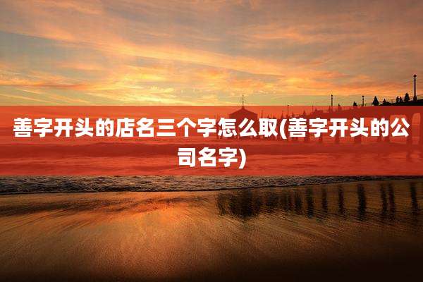 善字开头的店名三个字怎么取(善字开头的公司名字)
