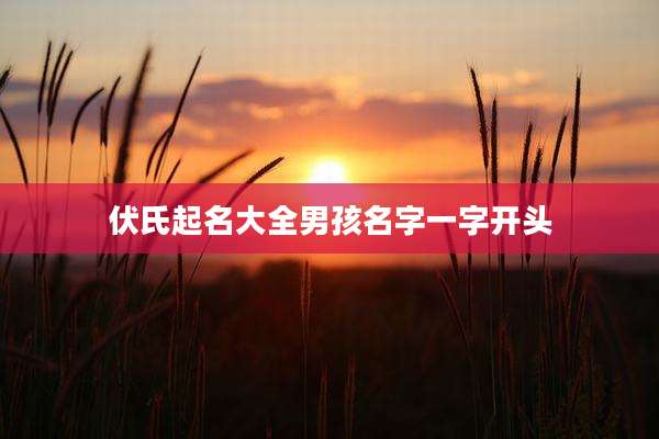 伏氏起名大全男孩名字一字开头