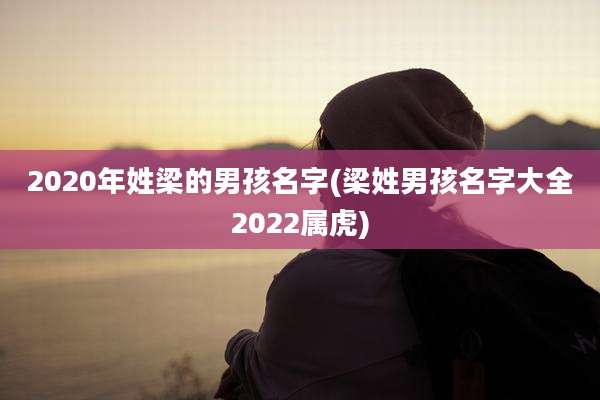 2020年姓梁的男孩名字(梁姓男孩名字大全2022属虎)