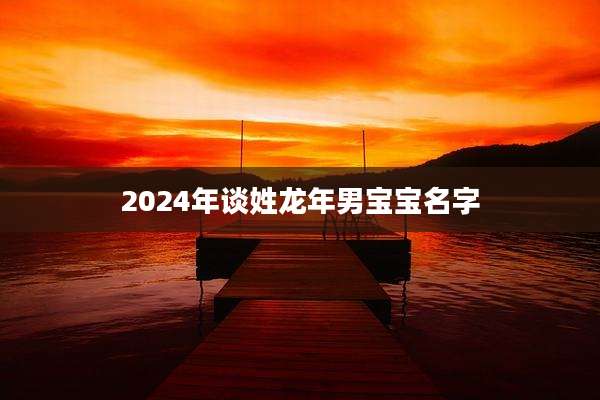 2024年谈姓龙年男宝宝名字