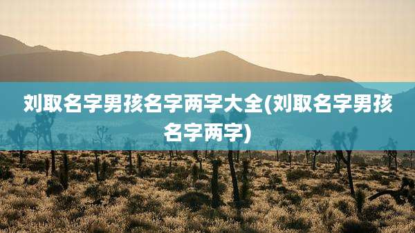 刘取名字男孩名字两字大全(刘取名字男孩名字两字)