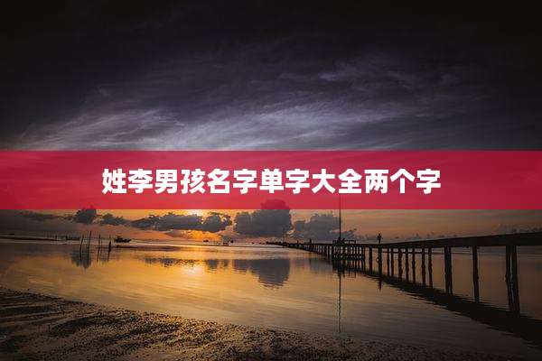 姓李男孩名字单字大全两个字