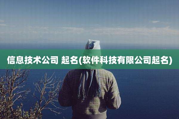 信息技术公司 起名(软件科技有限公司起名)