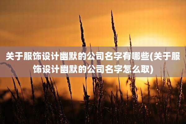 关于服饰设计幽默的公司名字有哪些(关于服饰设计幽默的公司名字怎么取)