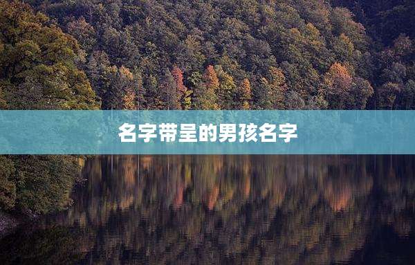 名字带呈的男孩名字