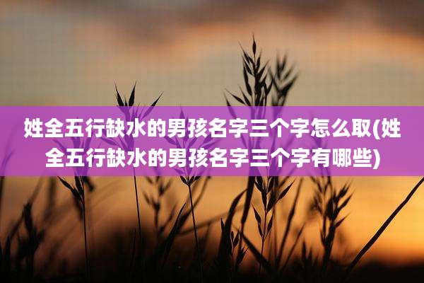 姓全五行缺水的男孩名字三个字怎么取(姓全五行缺水的男孩名字三个字有哪些)
