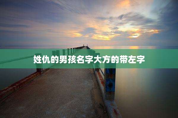 姓仇的男孩名字大方的带左字