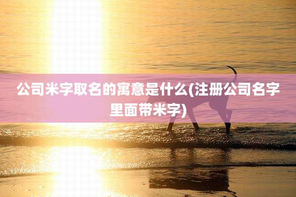 公司米字取名的寓意是什么(注册公司名字里面带米字)