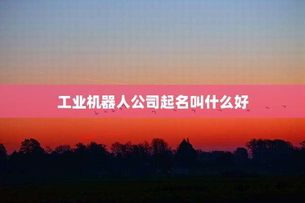 工业机器人公司起名叫什么好