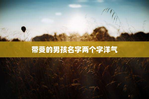 带斐的男孩名字两个字洋气