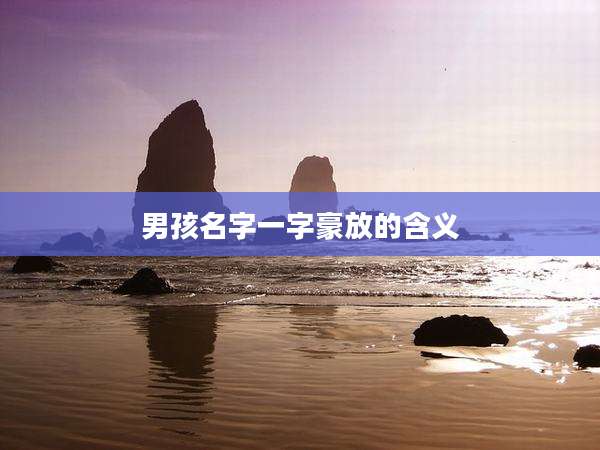 男孩名字一字豪放的含义