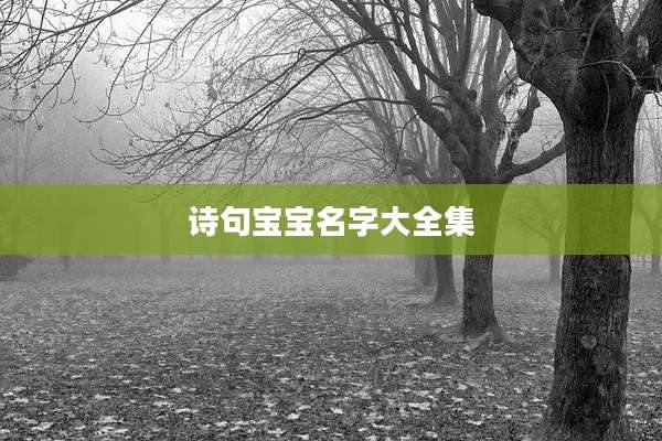 诗句宝宝名字大全集