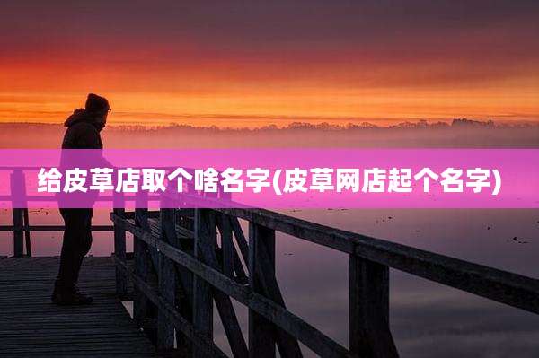 给皮草店取个啥名字(皮草网店起个名字)