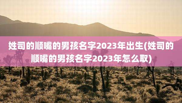 姓司的顺嘴的男孩名字2023年出生(姓司的顺嘴的男孩名字2023年怎么取)