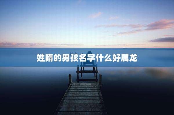 姓隋的男孩名字什么好属龙