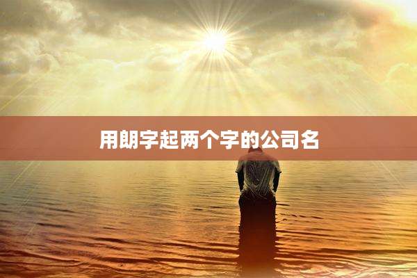 用朗字起两个字的公司名