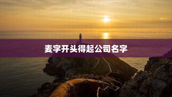 麦字开头得起公司名字