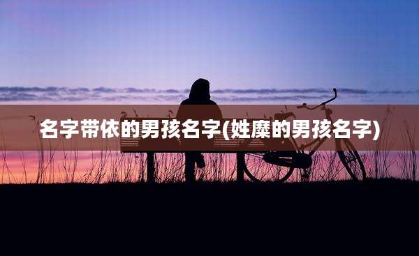名字带依的男孩名字(姓糜的男孩名字)