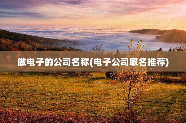 做电子的公司名称(电子公司取名推荐)
