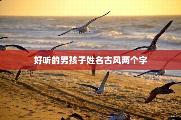 好听的男孩子姓名古风两个字