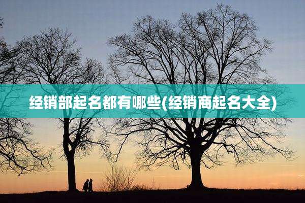 经销部起名都有哪些(经销商起名大全)
