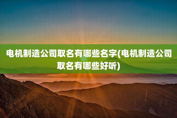 电机制造公司取名有哪些名字(电机制造公司取名有哪些好听)