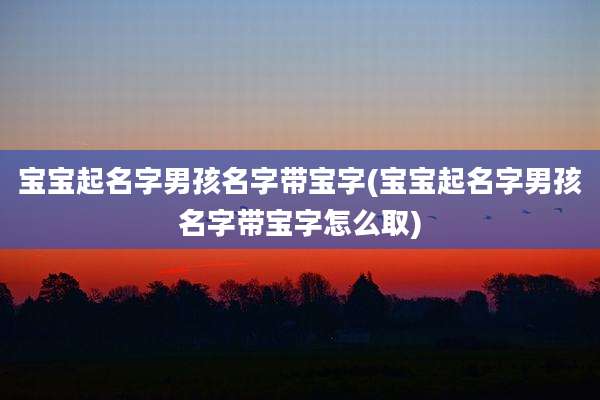 宝宝起名字男孩名字带宝字(宝宝起名字男孩名字带宝字怎么取)