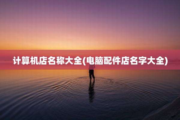 计算机店名称大全(电脑配件店名字大全)