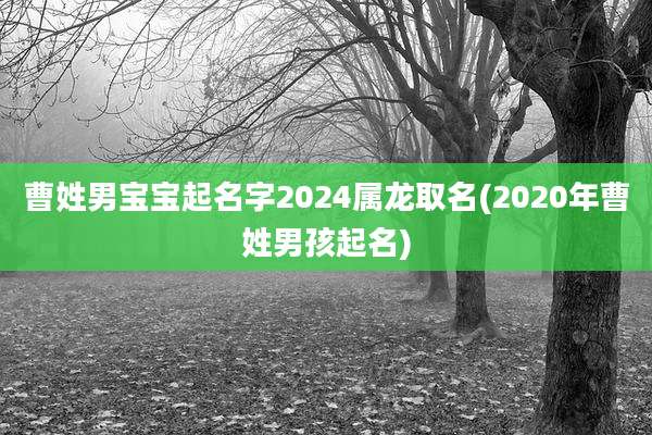 曹姓男宝宝起名字2024属龙取名(2020年曹姓男孩起名)
