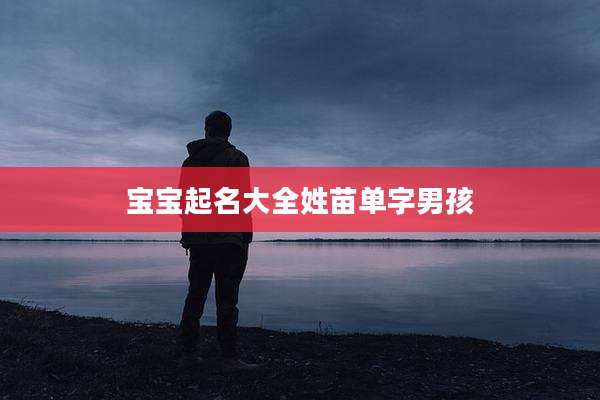 宝宝起名大全姓苗单字男孩